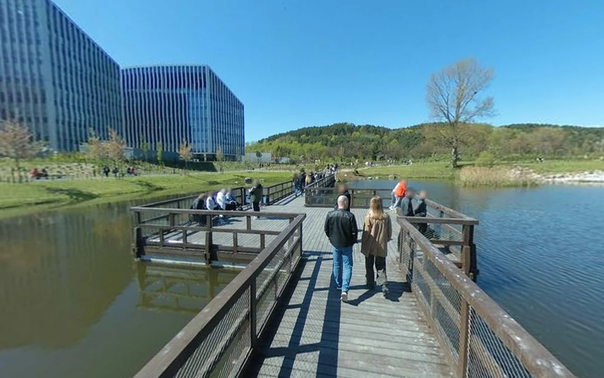 The boardwalk across the pond