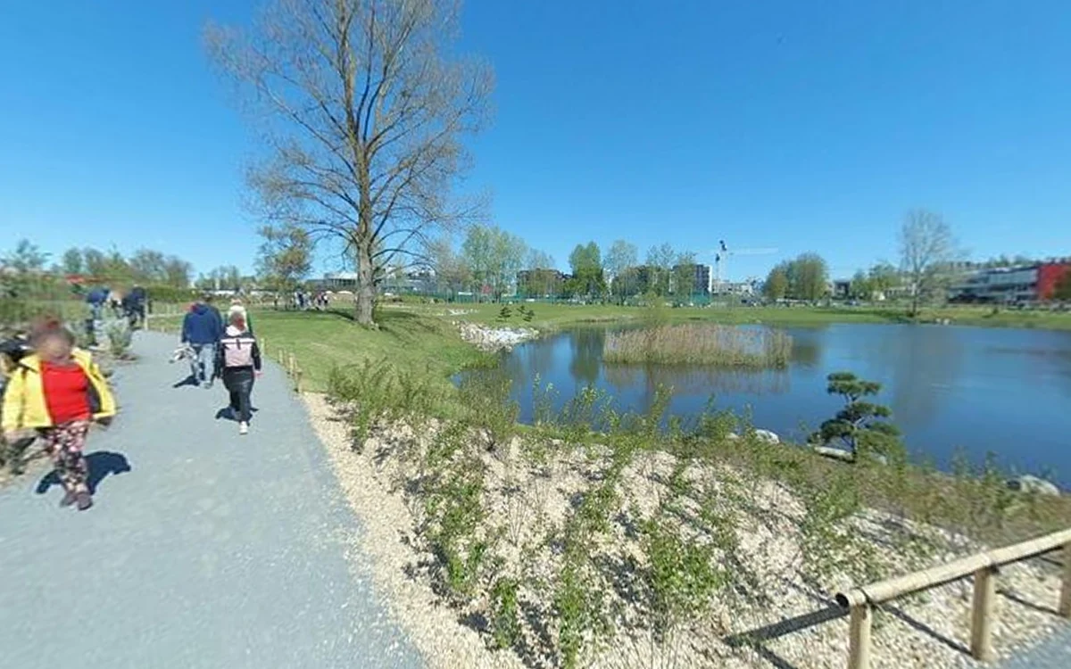 Paths beside the pond