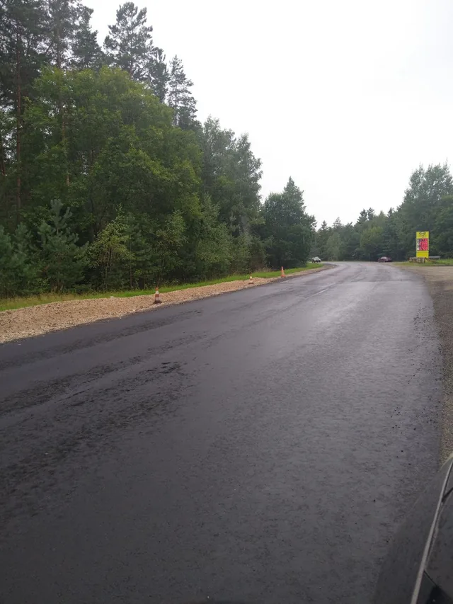 Road surface work with temporary cones beside a forested approach to Visaginas