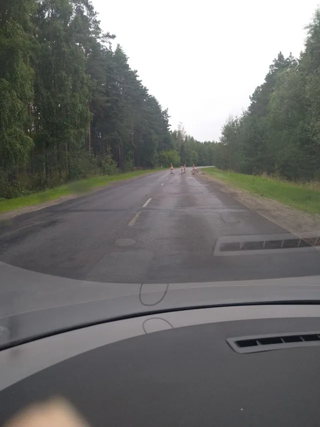 Temporary roadwork barriers ahead on a patched forest road